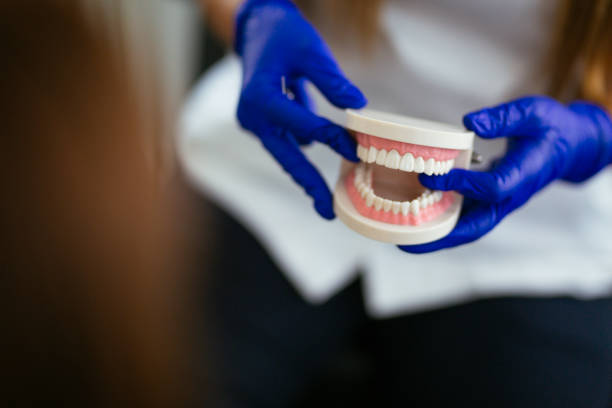 Clio, MI  Holistic Dental Services Company